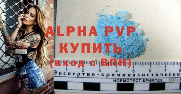 мдпв Новозыбков